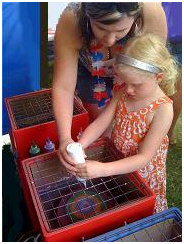 Child designing Spin Art